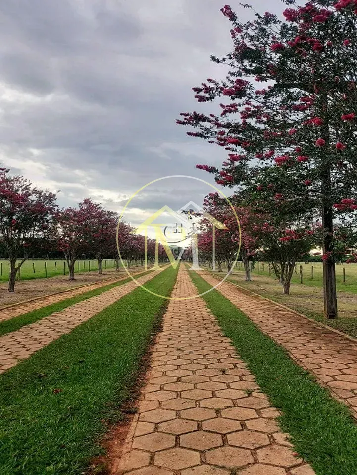 Fazenda, 303 hectares - Foto 41