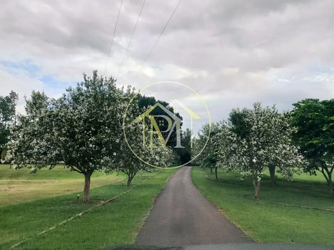 Fazenda, 303 hectares - Foto 11