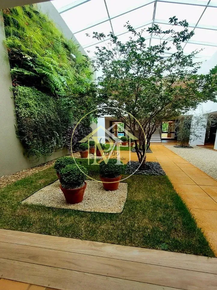 Fazenda, 303 hectares - Foto 20