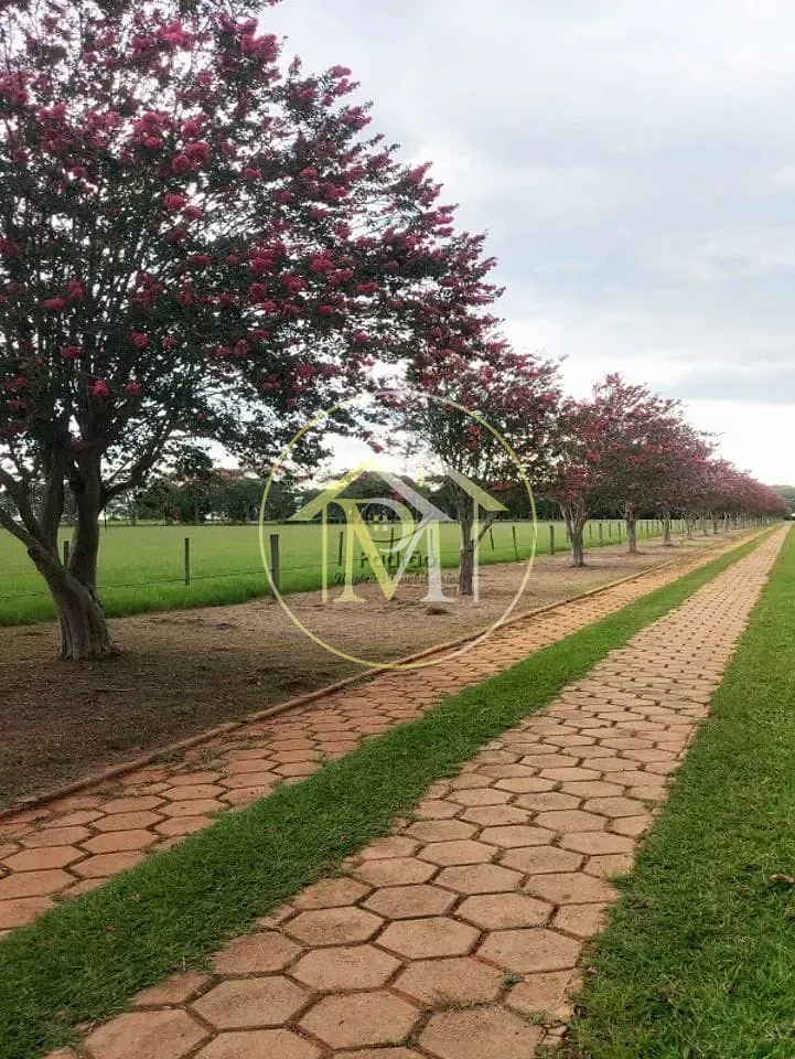 Fazenda, 303 hectares - Foto 40