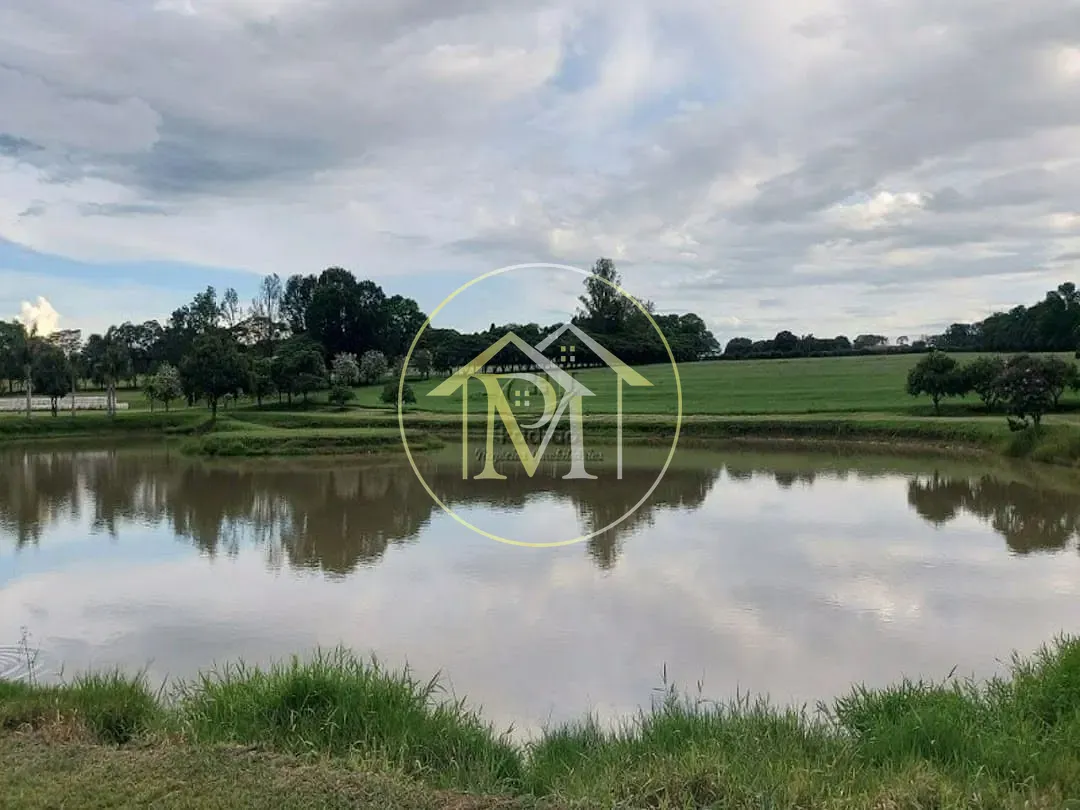 Fazenda, 303 hectares - Foto 17