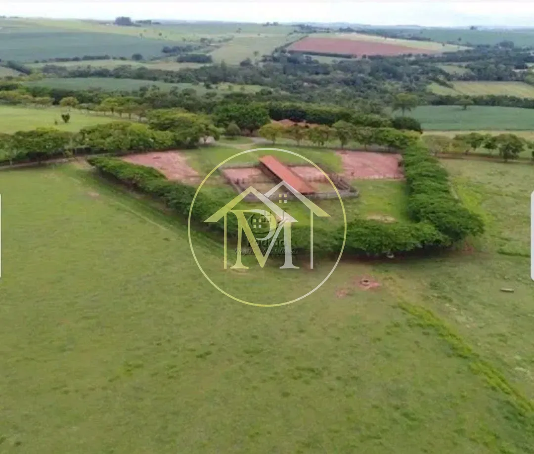 Fazenda, 303 hectares - Foto 59