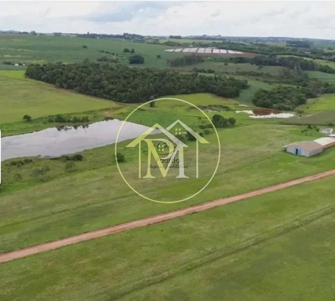 Fazenda, 303 hectares - Foto 47
