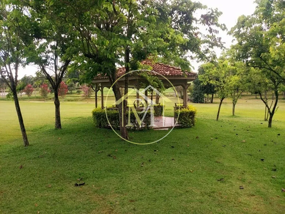 Fazenda, 303 hectares - Foto 6