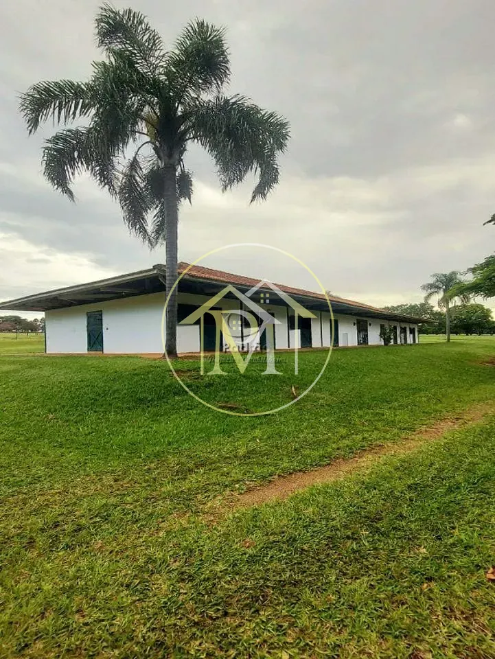 Fazenda, 303 hectares - Foto 32