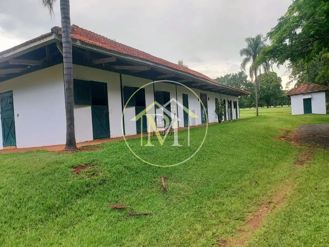 Fazenda, 303 hectares - Foto 33