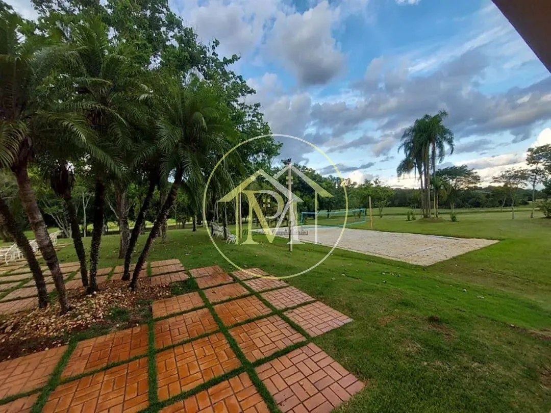 Fazenda, 303 hectares - Foto 7