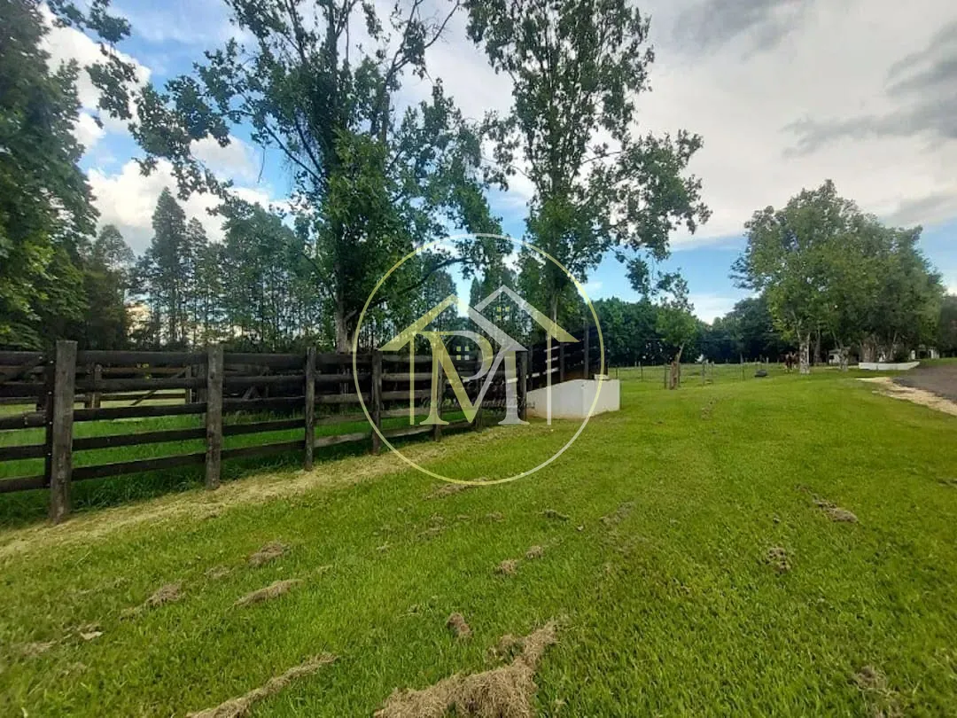 Fazenda, 303 hectares - Foto 37