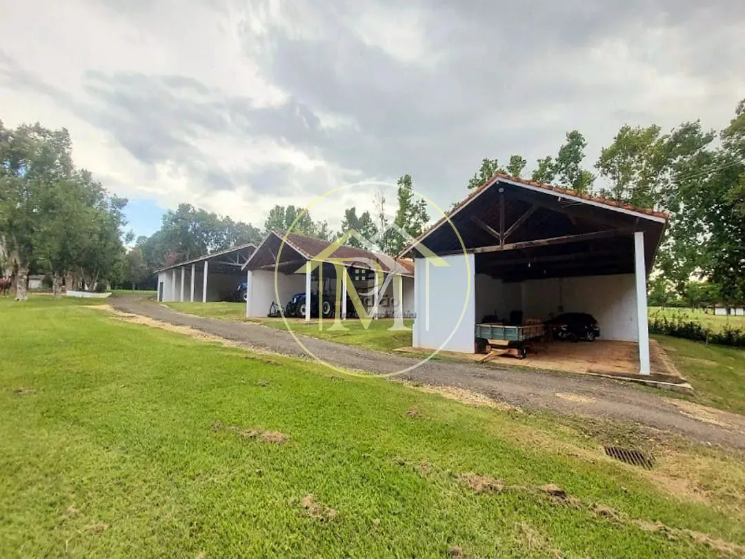 Fazenda, 303 hectares - Foto 38