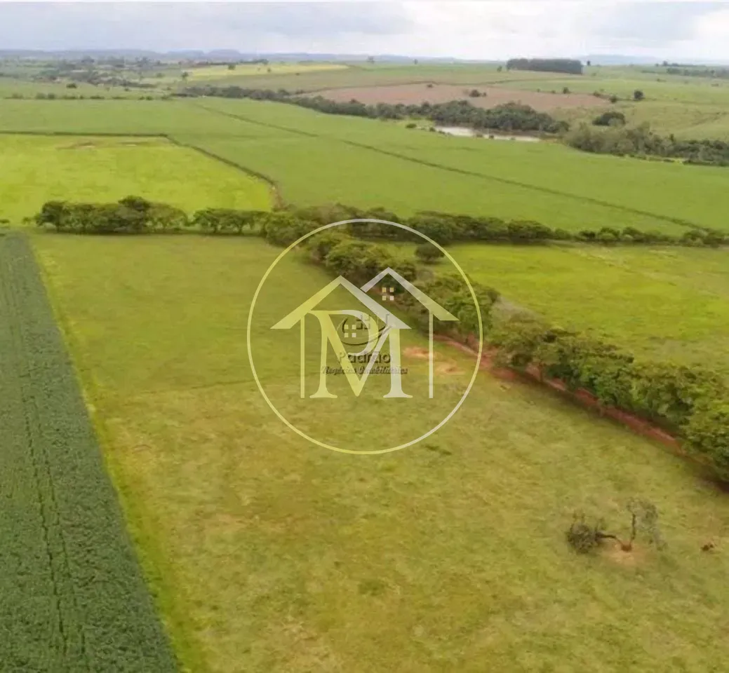 Fazenda, 303 hectares - Foto 46