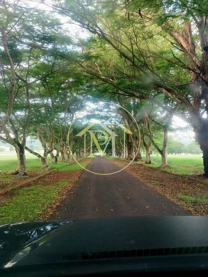 Fazenda, 303 hectares - Foto 34