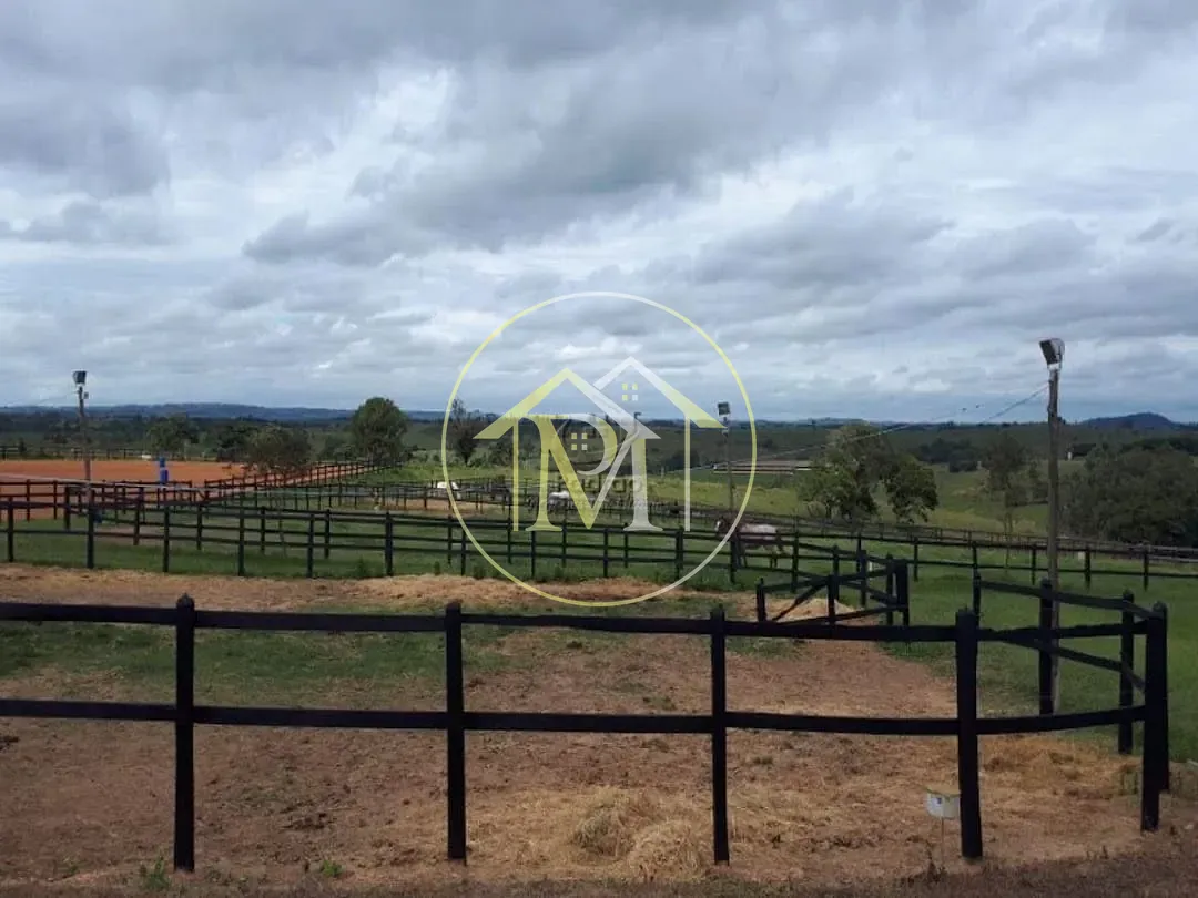 Fazenda, 73 hectares - Foto 14