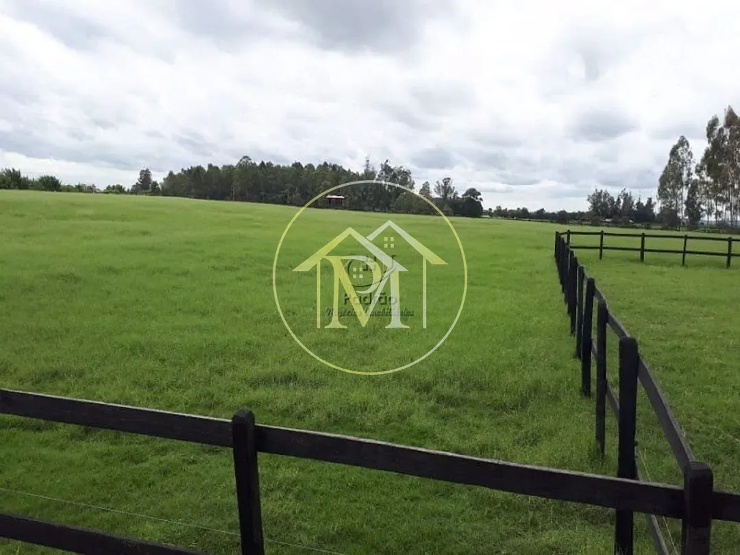 Fazenda, 73 hectares - Foto 18