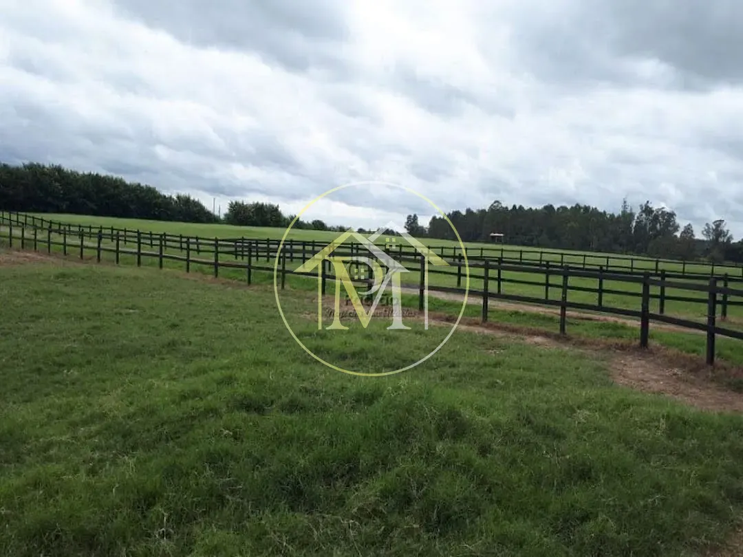 Fazenda, 73 hectares - Foto 21