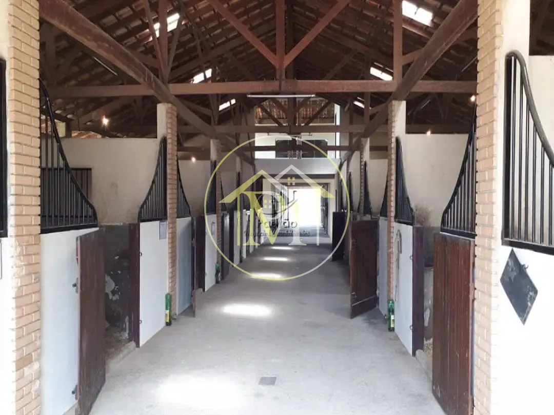 Fazenda, 73 hectares - Foto 11