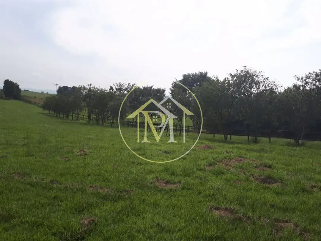 Fazenda, 73 hectares - Foto 21