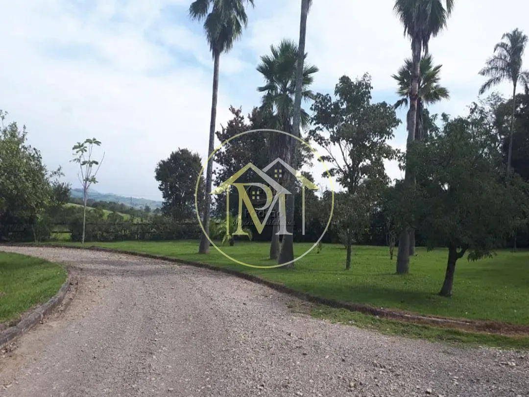 Fazenda, 73 hectares - Foto 22