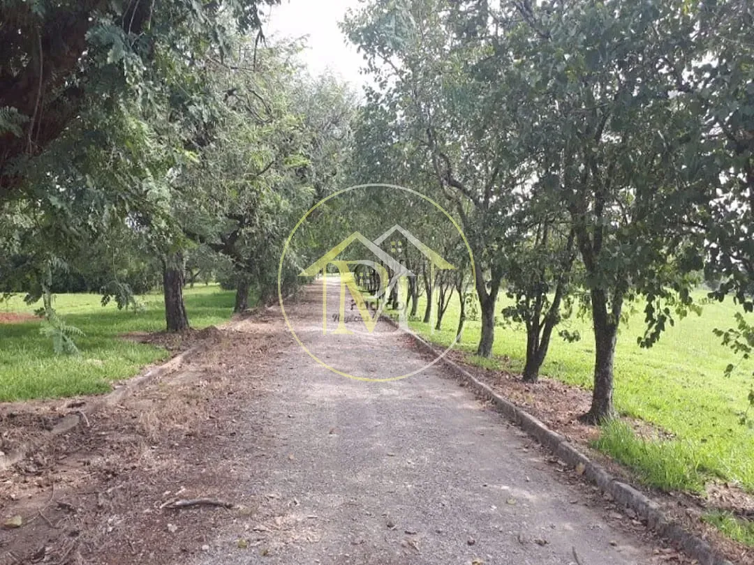 Fazenda, 73 hectares - Foto 23