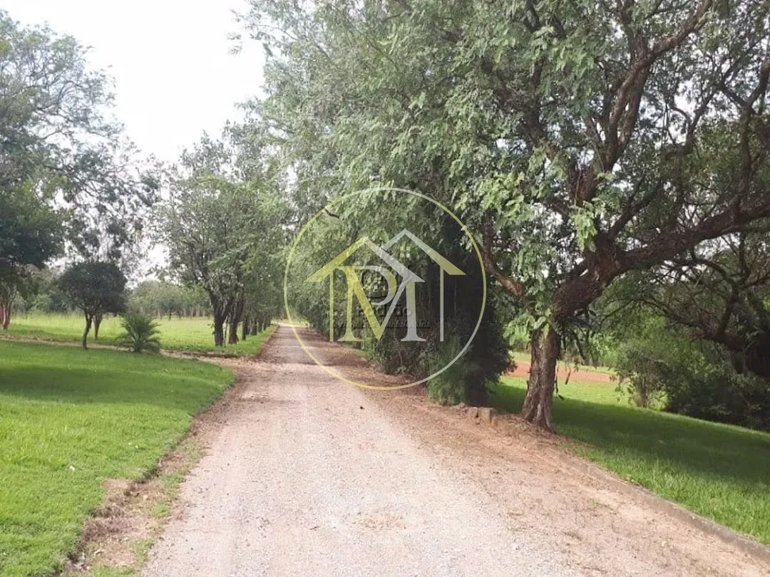 Fazenda, 73 hectares - Foto 6