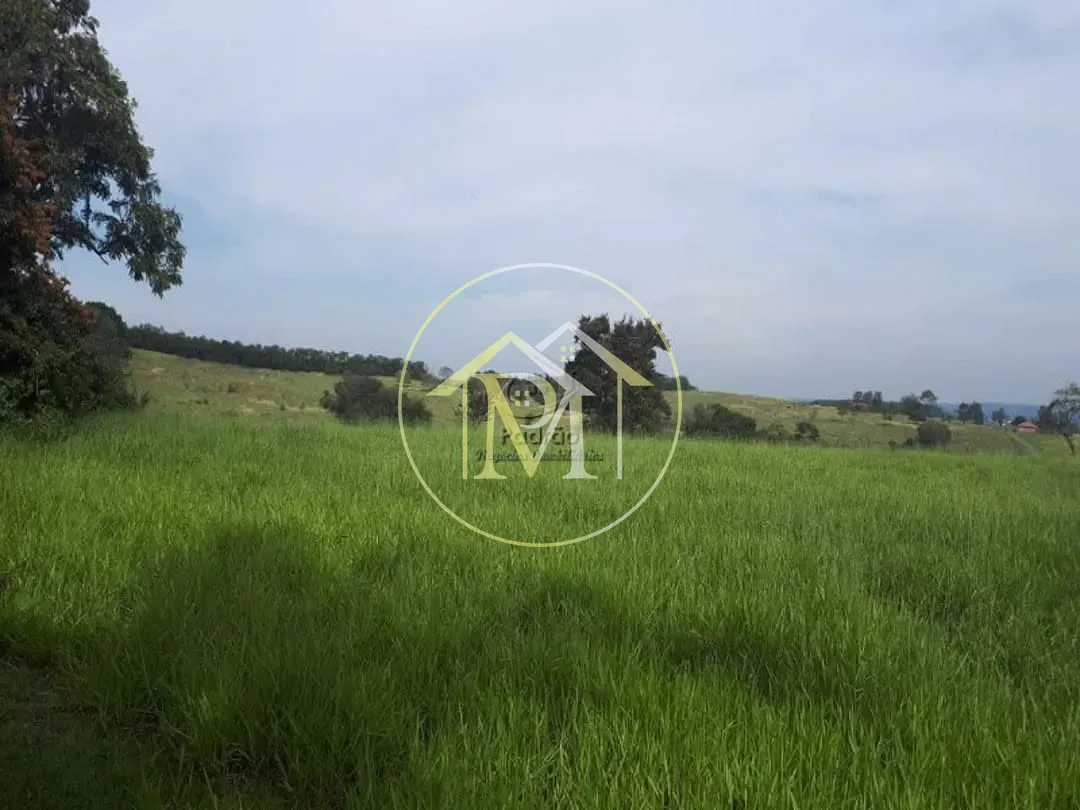 Fazenda, 73 hectares - Foto 11