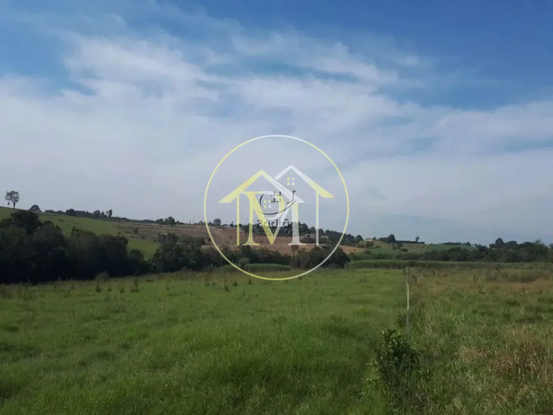 Fazenda, 73 hectares - Foto 25