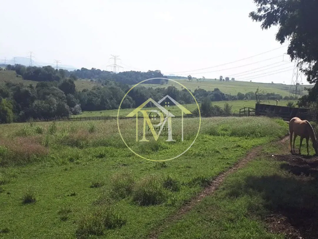 Fazenda, 73 hectares - Foto 33