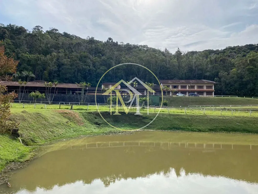 Fazenda, 22 hectares - Foto 3