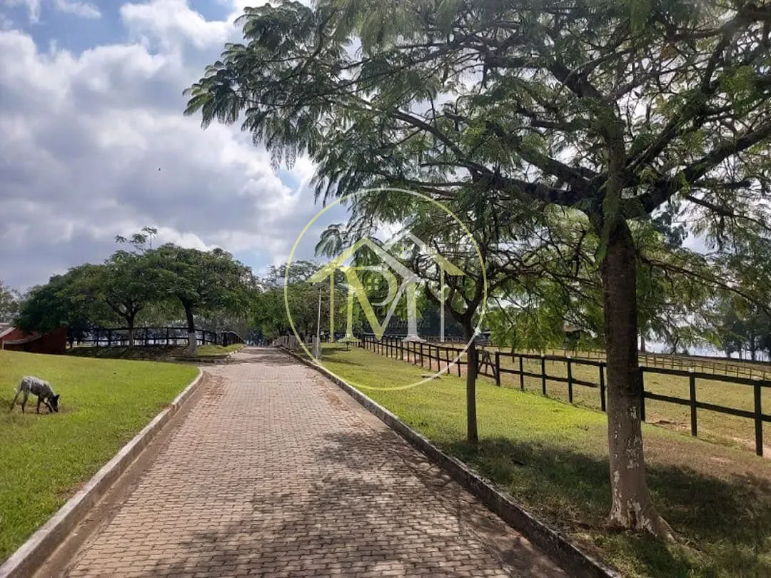 Fazenda, 48 hectares - Foto 44