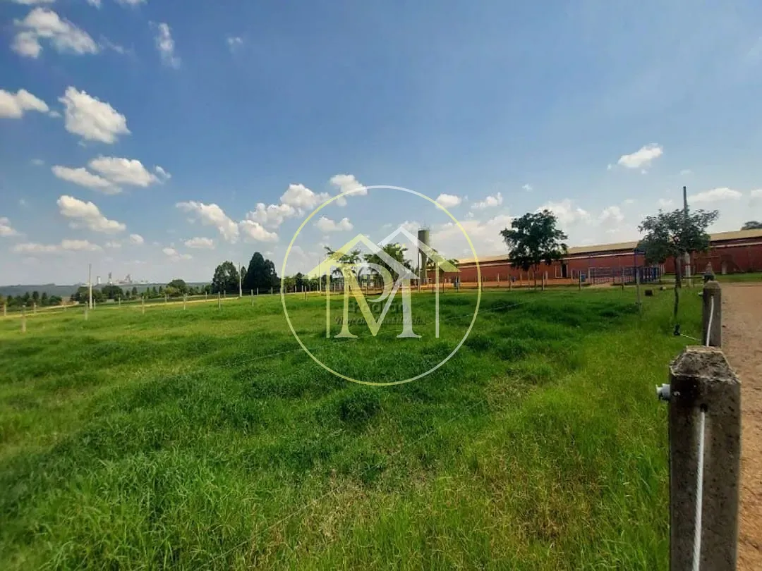 Fazenda, 17 hectares - Foto 26