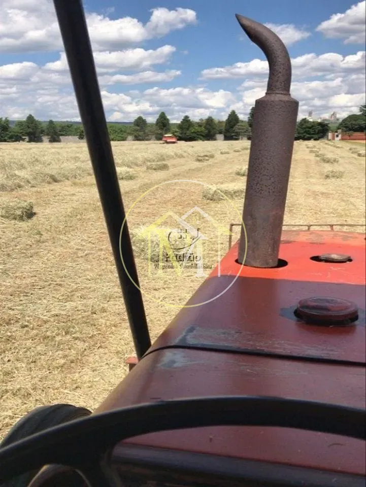 Fazenda, 17 hectares - Foto 13