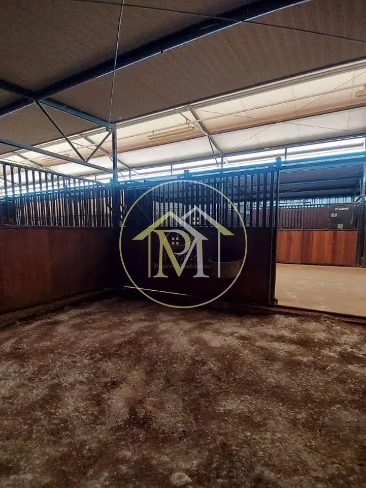 Fazenda, 17 hectares - Foto 45