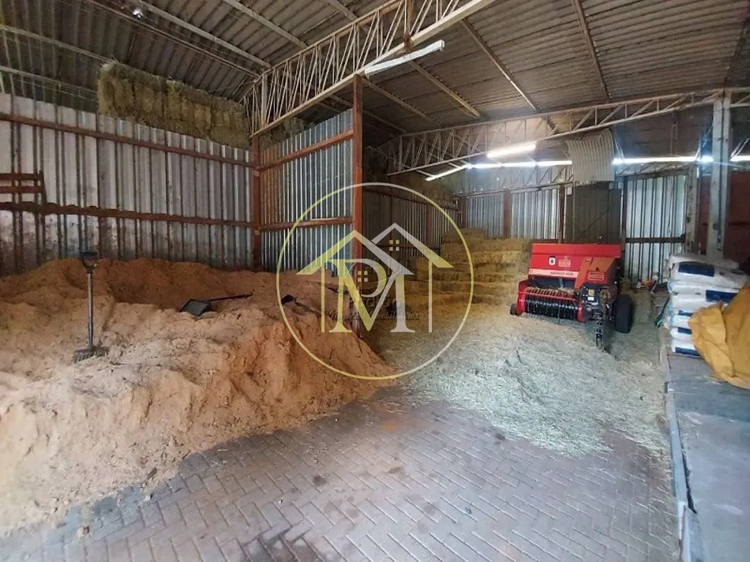 Fazenda, 17 hectares - Foto 11