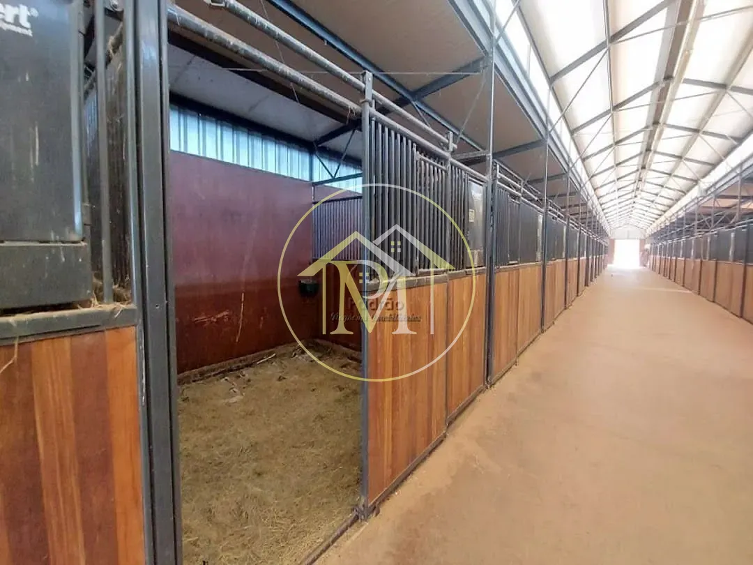 Fazenda, 17 hectares - Foto 38