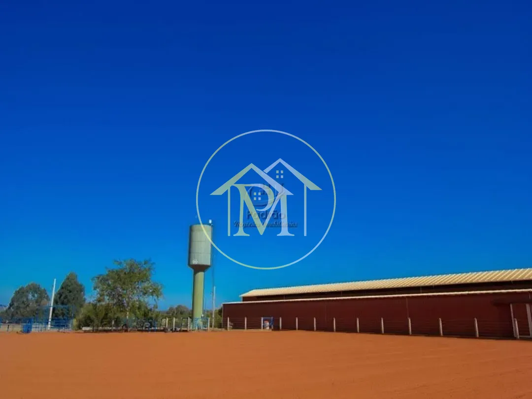 Fazenda, 17 hectares - Foto 6
