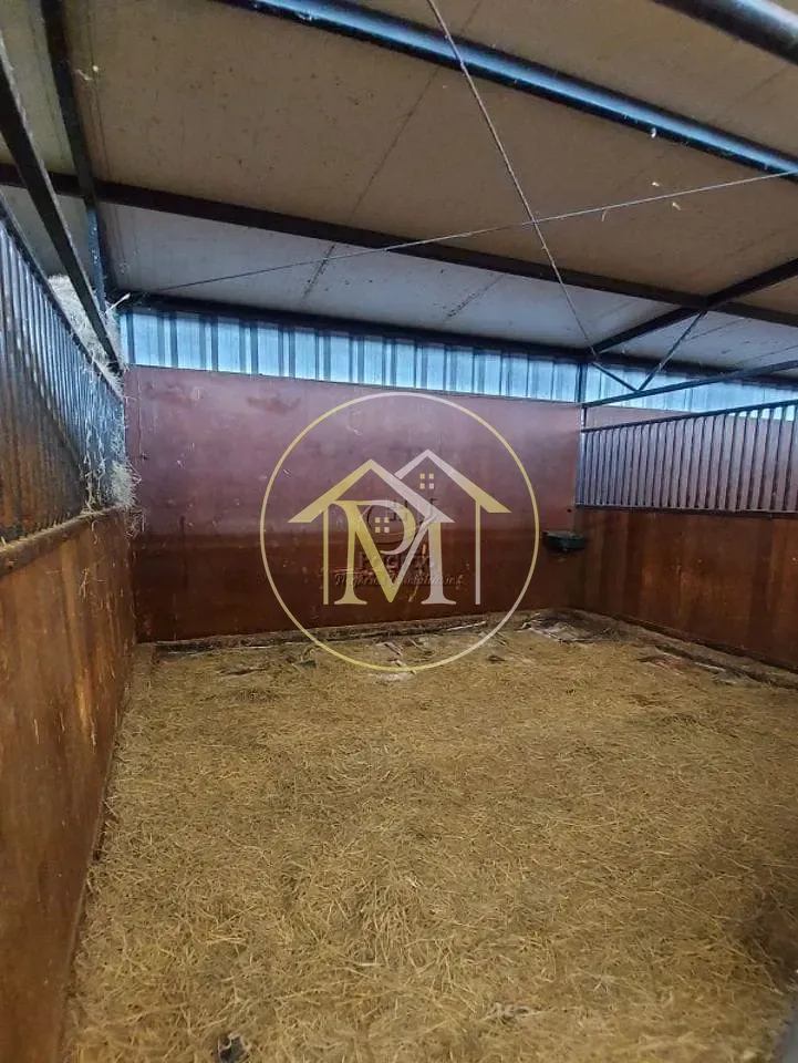 Fazenda, 17 hectares - Foto 44