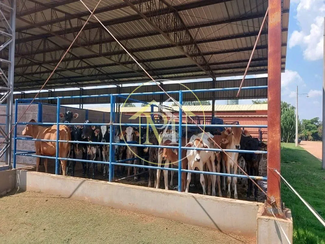 Fazenda, 17 hectares - Foto 62