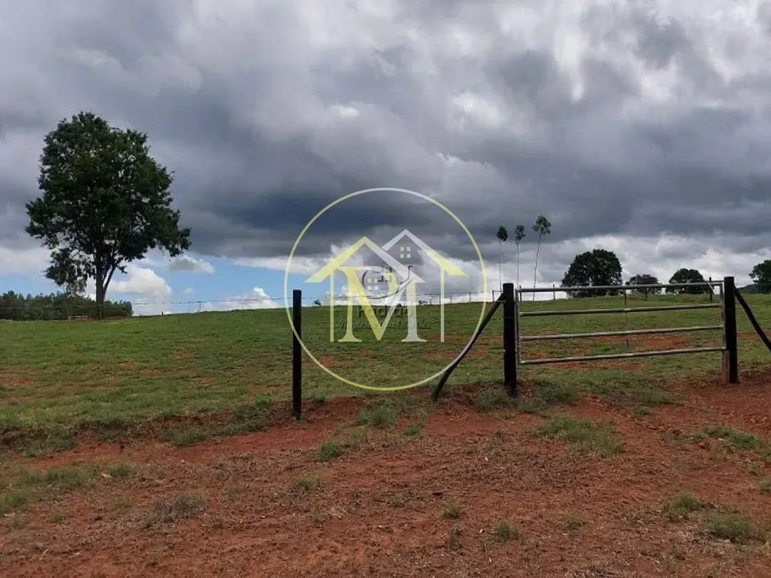 Fazenda, 85 hectares - Foto 13