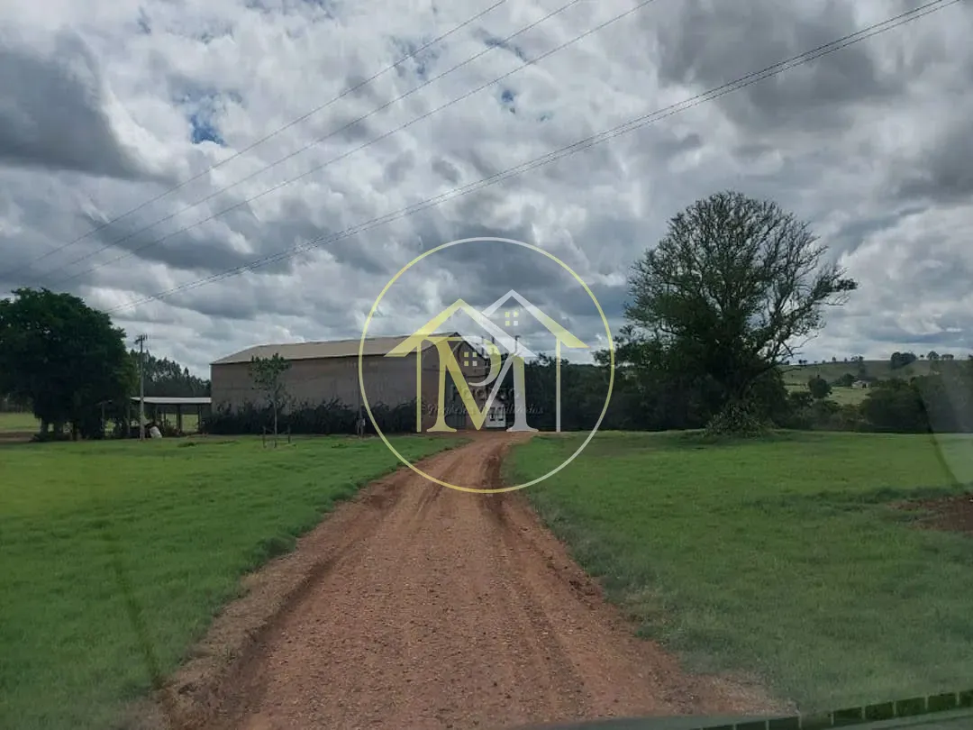 Fazenda, 85 hectares - Foto 18