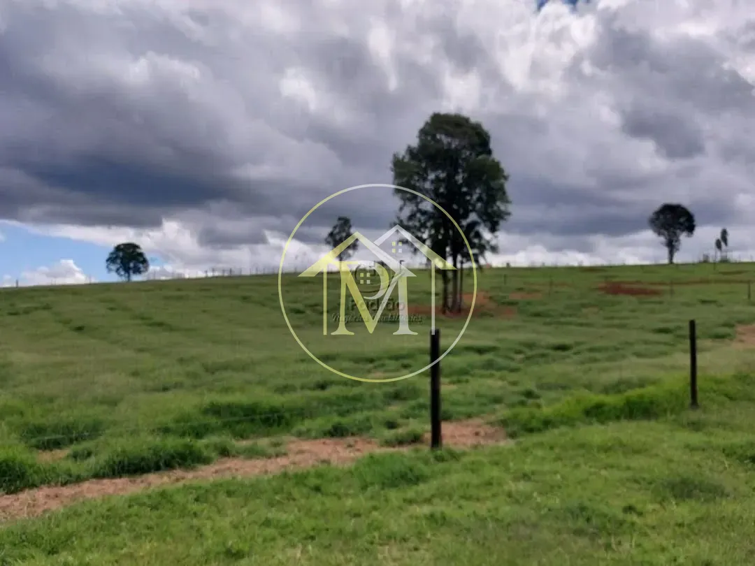 Fazenda, 85 hectares - Foto 11