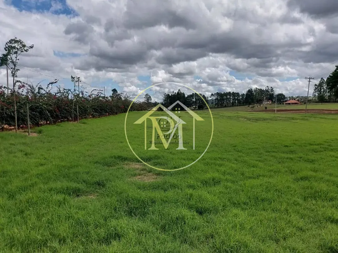Fazenda, 85 hectares - Foto 19