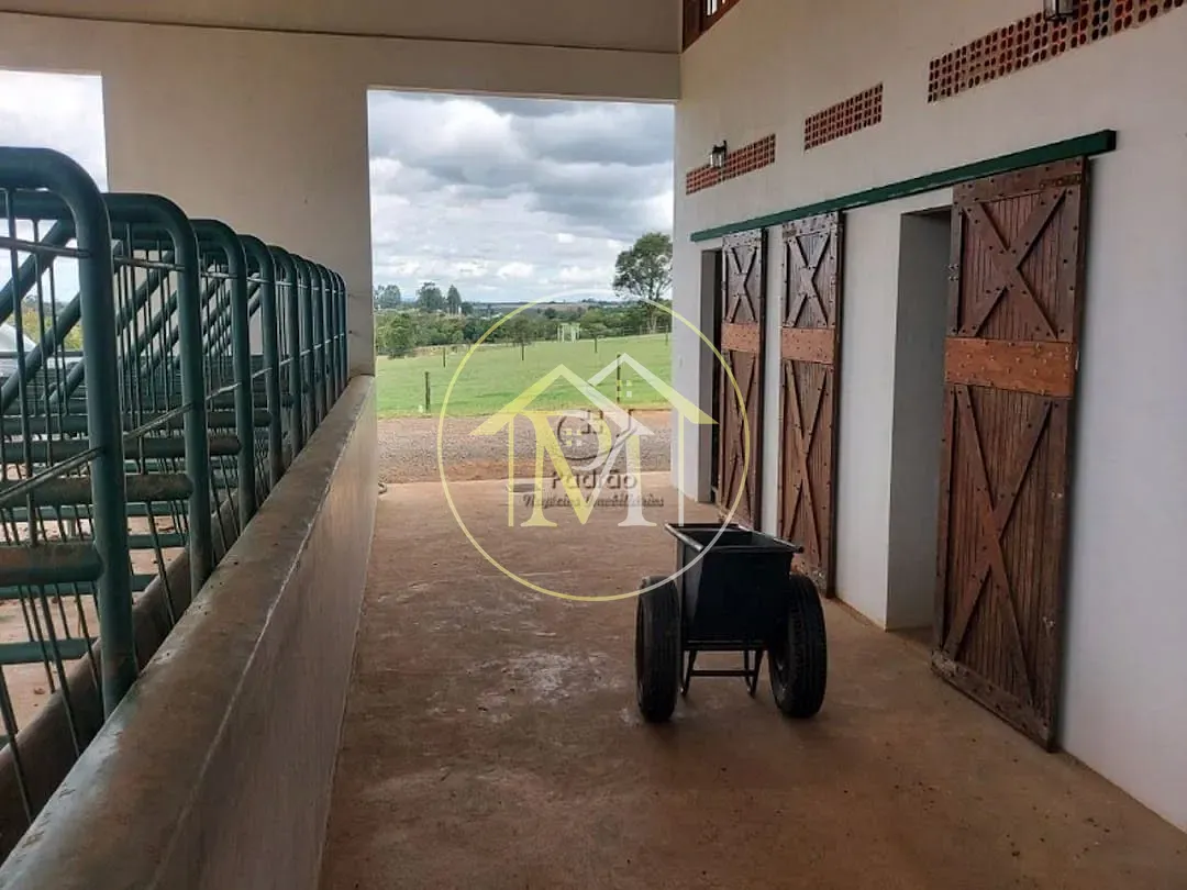 Fazenda, 85 hectares - Foto 7
