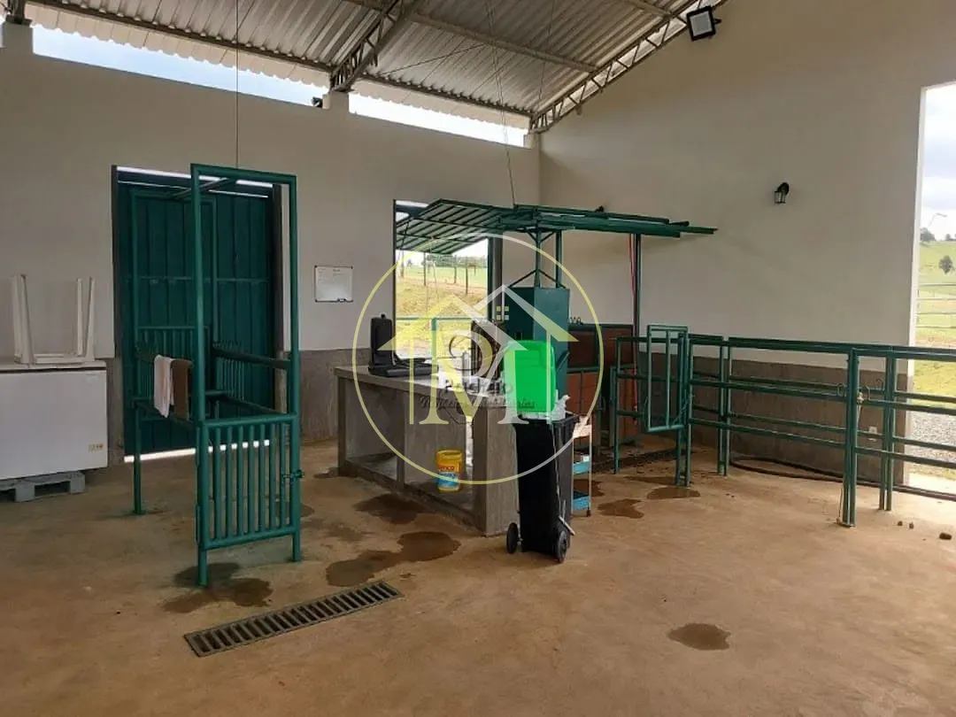 Fazenda, 85 hectares - Foto 8