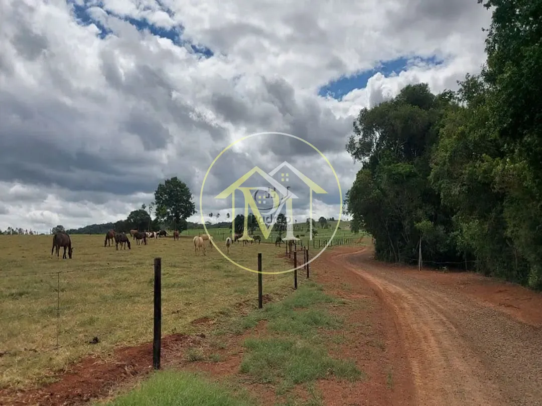 Fazenda, 85 hectares - Foto 14