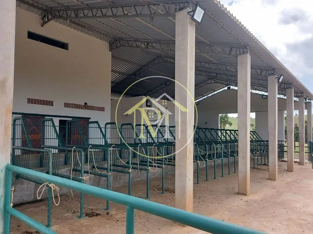 Fazenda, 85 hectares - Foto 6