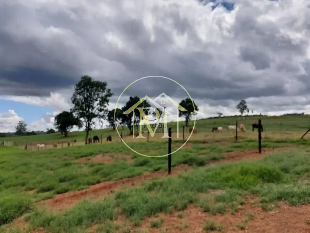 Fazenda, 85 hectares - Foto 12