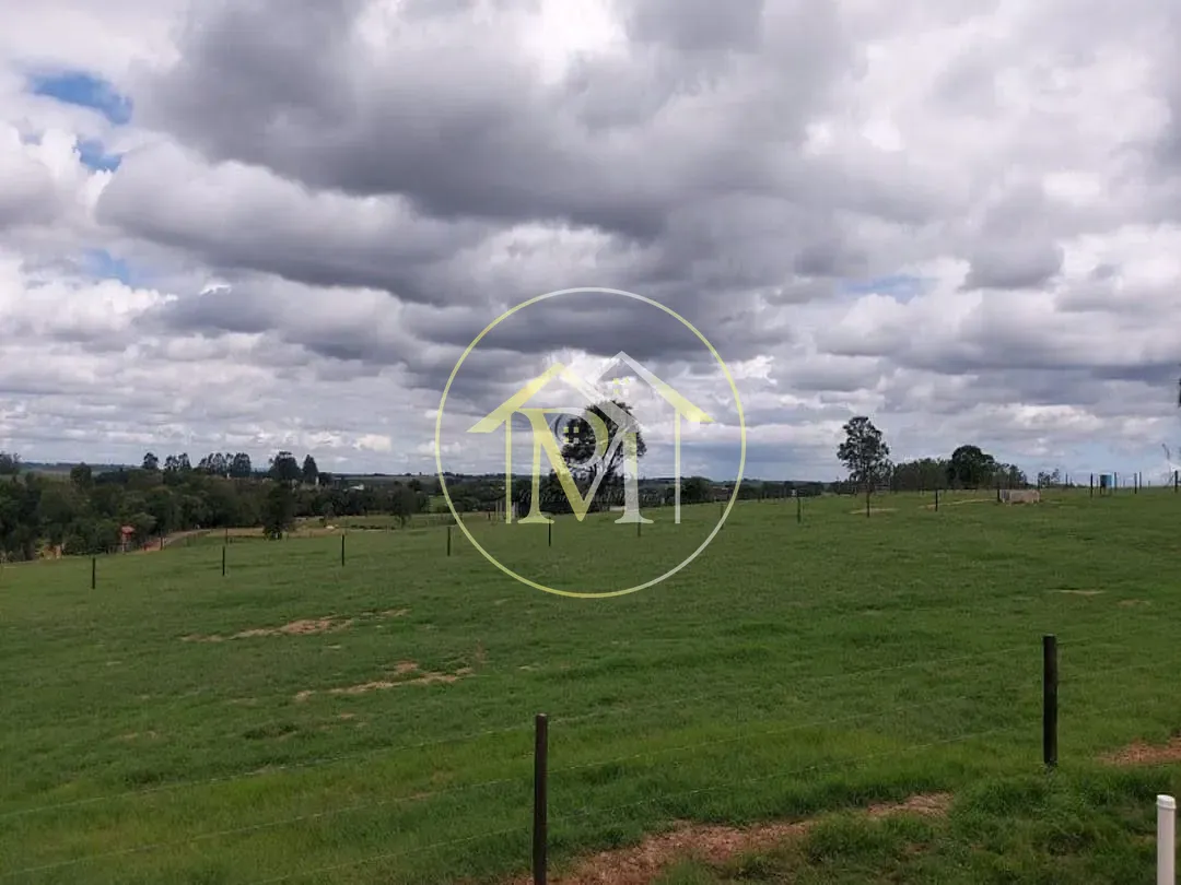 Fazenda, 85 hectares - Foto 10