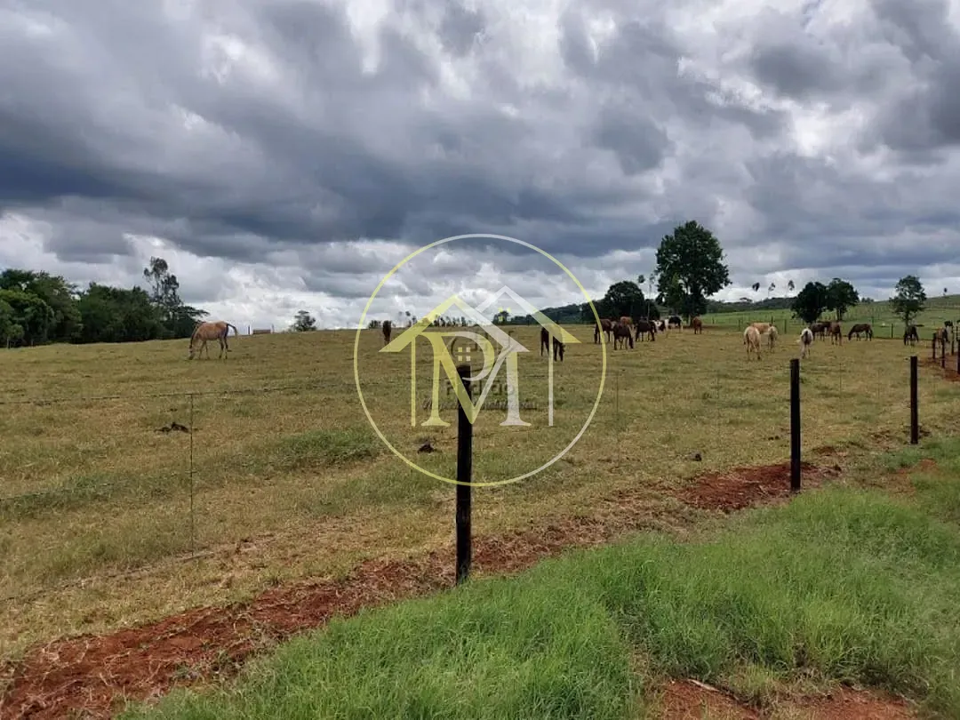 Fazenda, 85 hectares - Foto 20