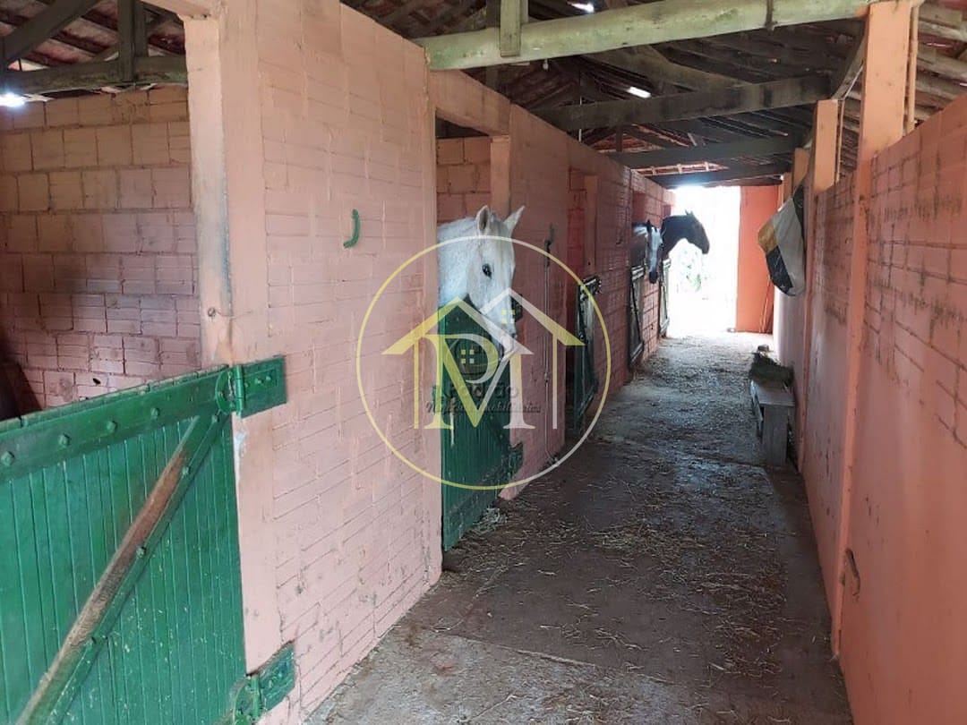 Fazenda à venda com 4 quartos, 192000m² - Foto 24
