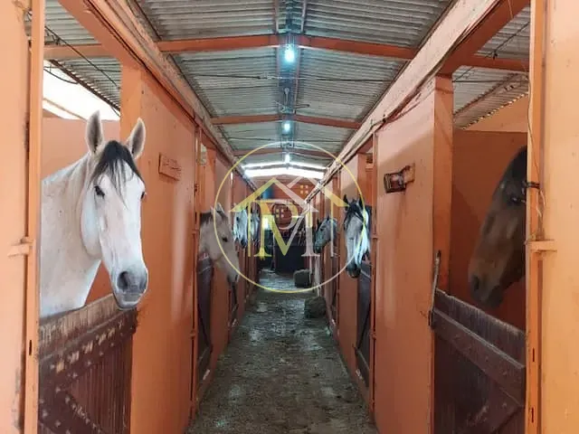 Haras com 192000m² 4 quartos e 5 banheiros, à venda, no bairro Jardim Santa Cruz em Iperó
