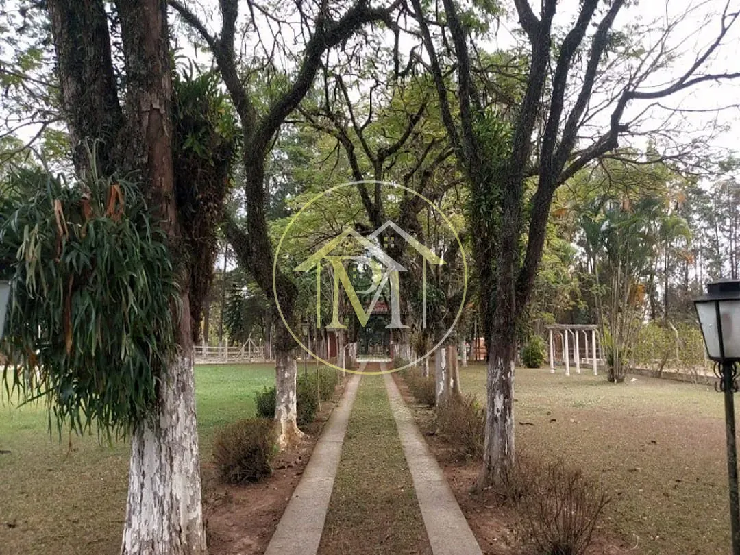 Fazenda, 19 hectares - Foto 14